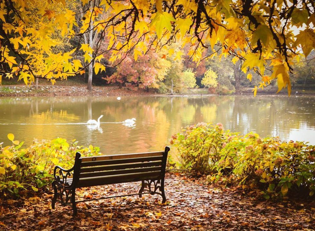 Atatürk Arboretum