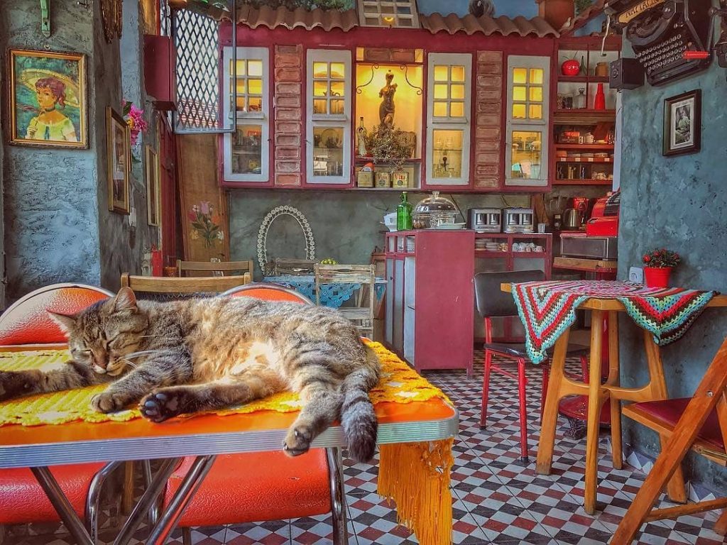Cafe Naftalin K.