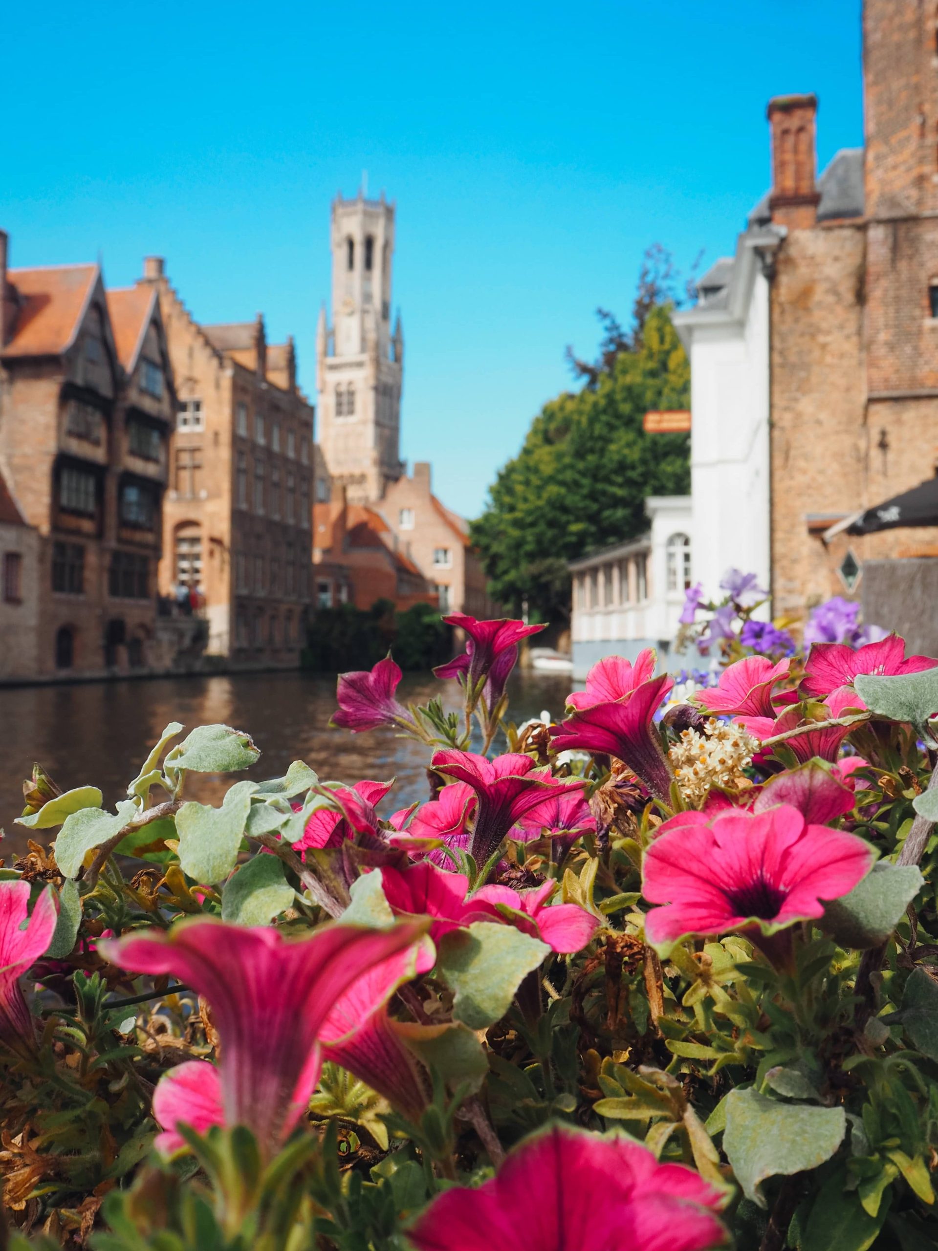 brugge gezilecek yerler